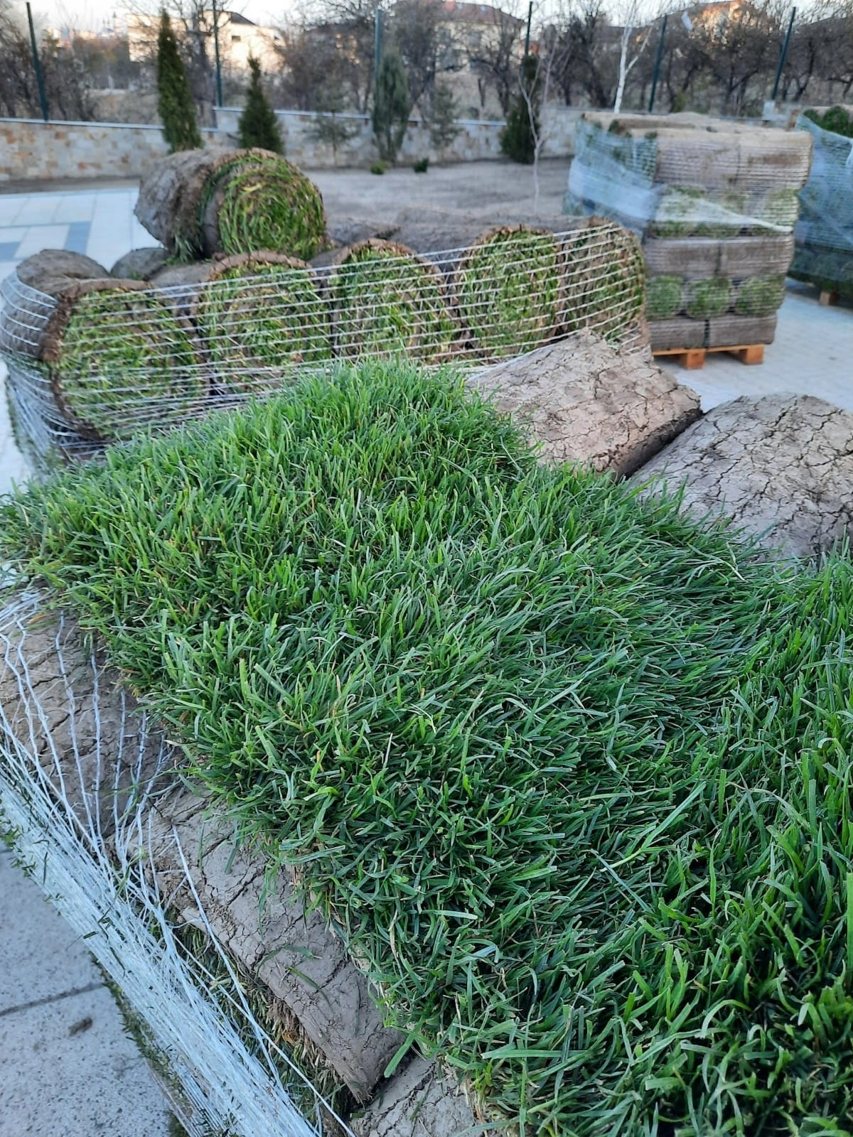 Rulou gazon natural in Suceava si imprejurimi