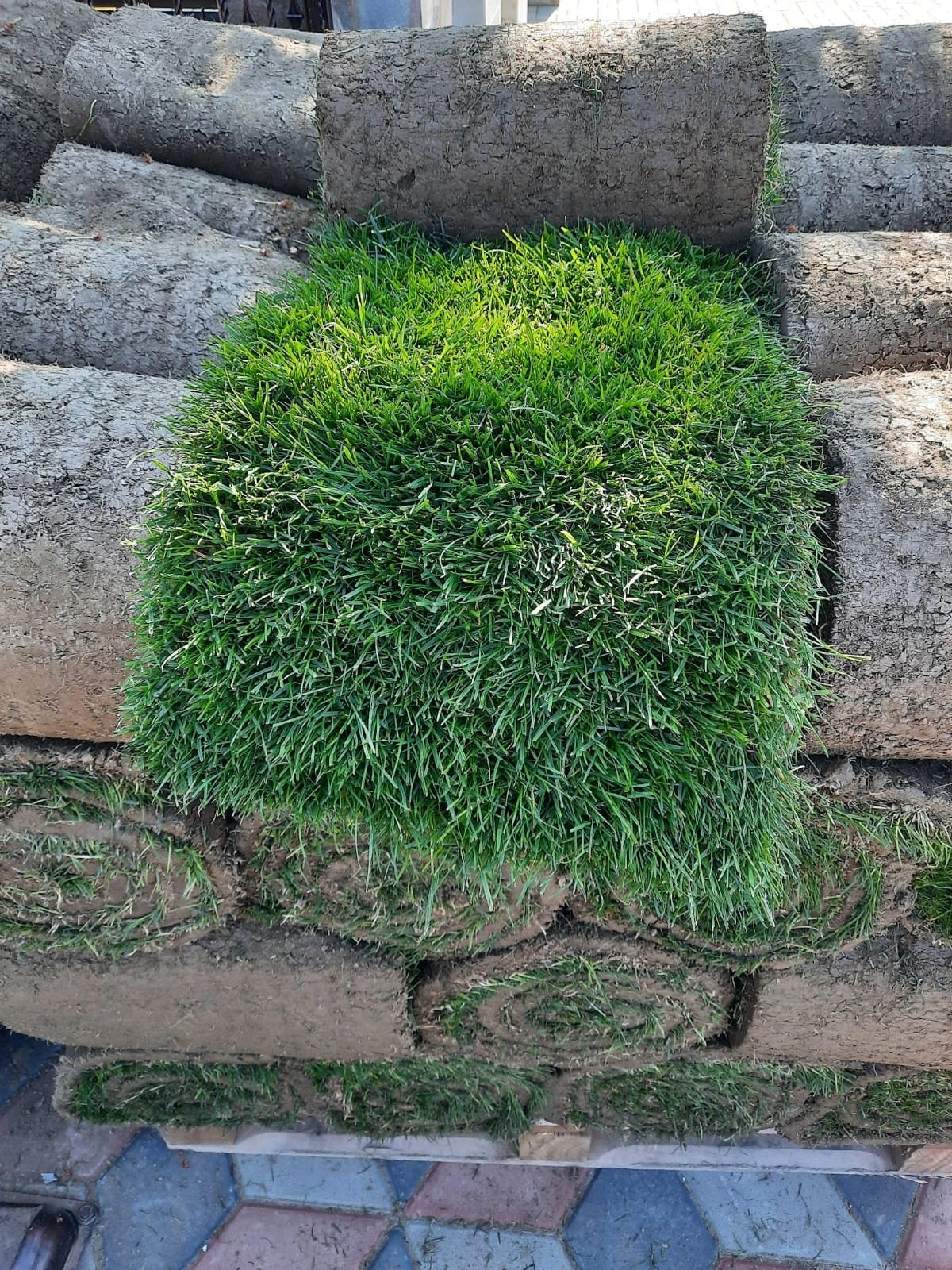 Rulou gazon natural in Suceava si imprejurimi